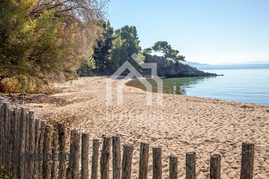 Investment land in Sithonia, photo #3, listing #2185388