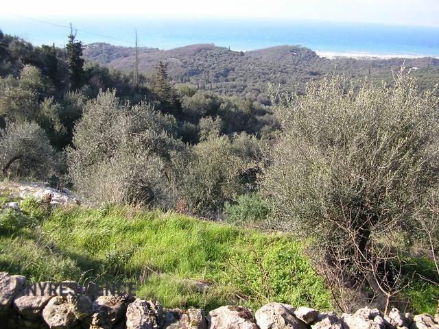 Development land Corfu, photo #5, listing #2061856