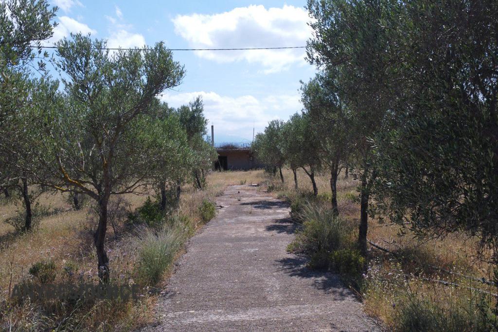 Development land Chania, photo #7, listing #2461574