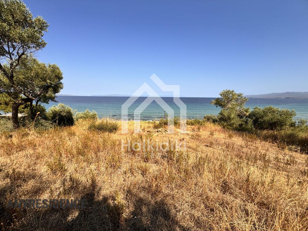 Development land Sithonia, photo #7, listing #2388723