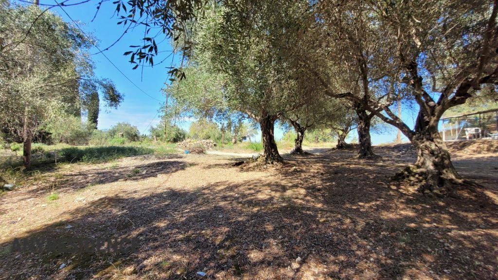 Development land Corfu, photo #5, listing #2170320