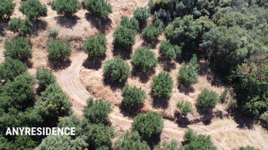 Development land Gerani, photo #8, listing #2536191