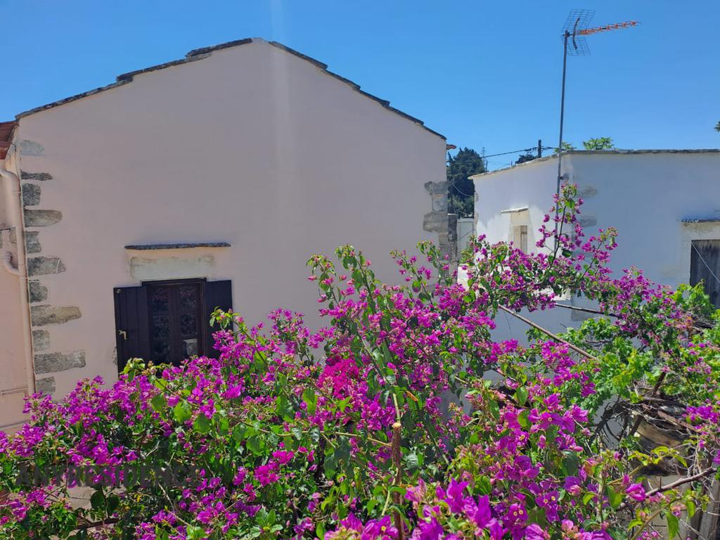 Townhome in Chania, photo #6, listing #2391191