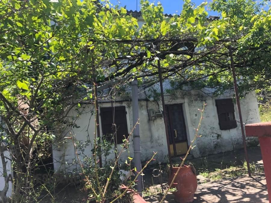 Terraced house in Administration of the Peloponnese, Western Greece and the Ionian Islands, photo #5, listing #2184033