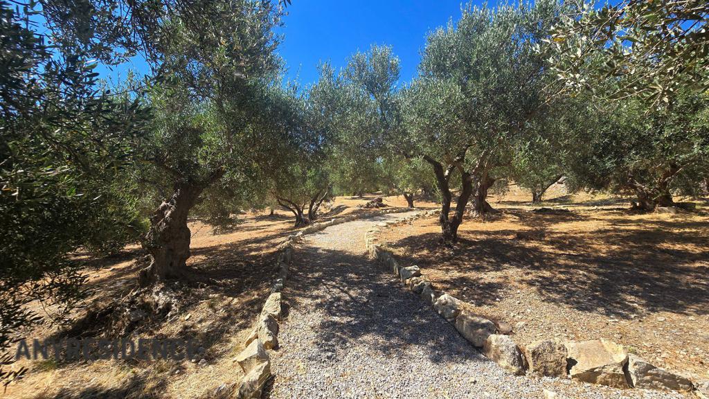 Development land Tsivaras, photo #8, listing #2538039