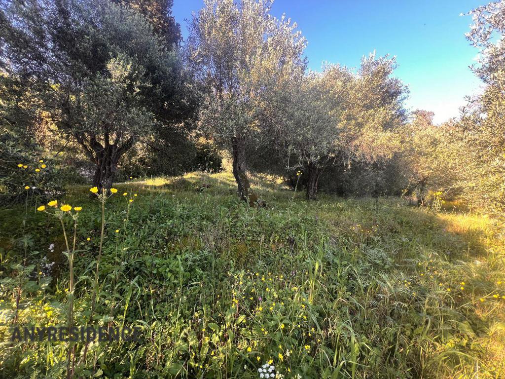 Development land Corfu, photo #4, listing #2386541