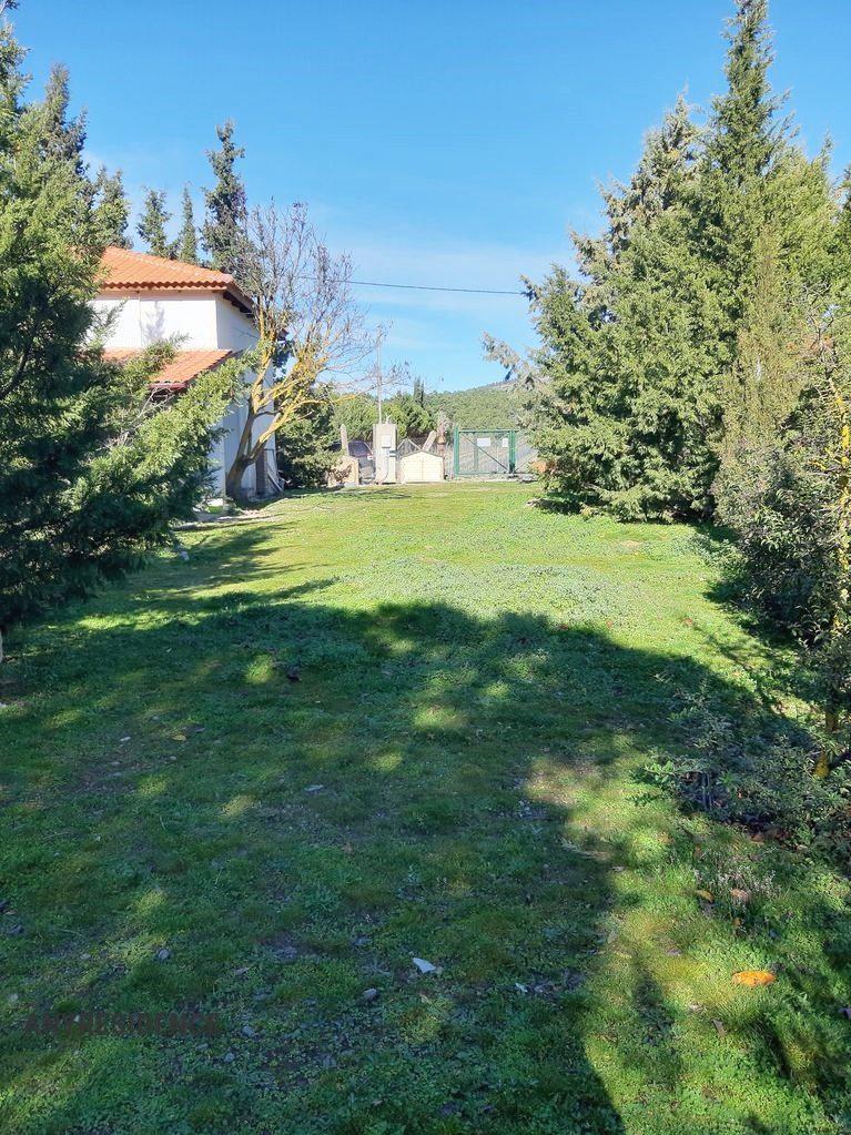 Development land Boeotia, photo #1, listing #2284579