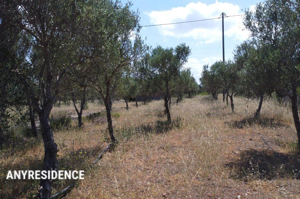 Development land Chania, photo #3, listing #2461574