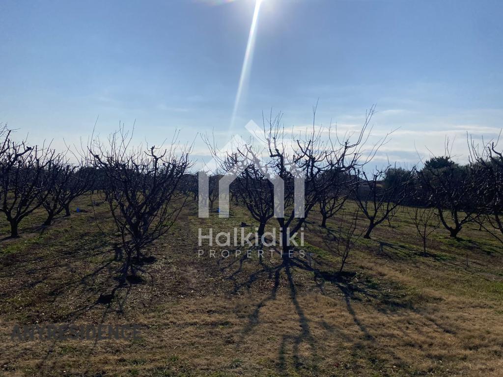 Development land Chalkidiki (Halkidiki), photo #1, listing #2214919