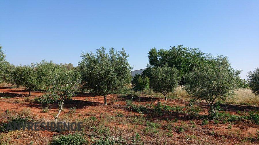 Development land Attica, photo #3, listing #2554059