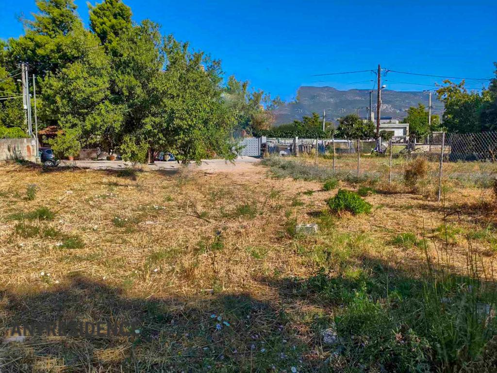 Development land Athens, photo #3, listing #2554061