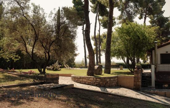 Villa in Chalkidiki (Halkidiki)