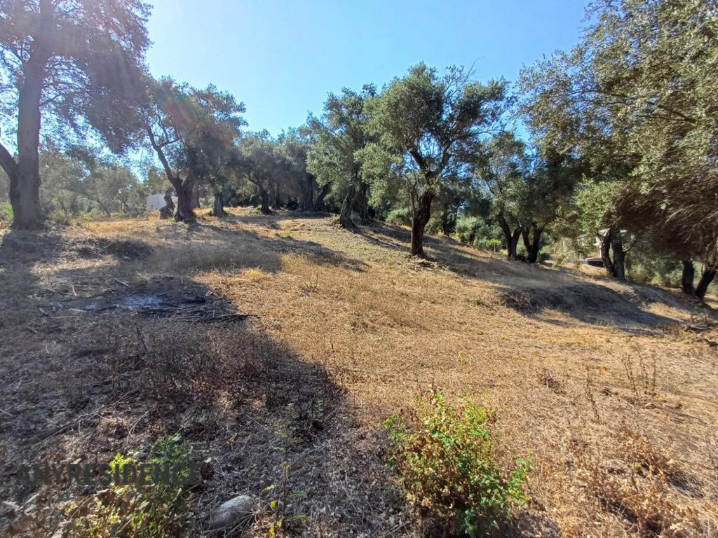 Development land Agios Georgios, photo #7, listing #2386390