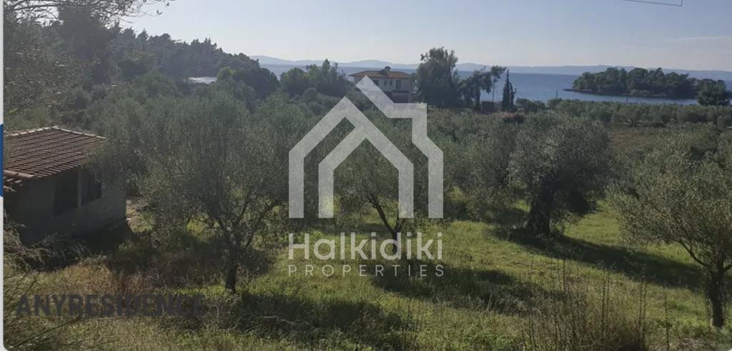 Development land Sithonia, photo #4, listing #2199629