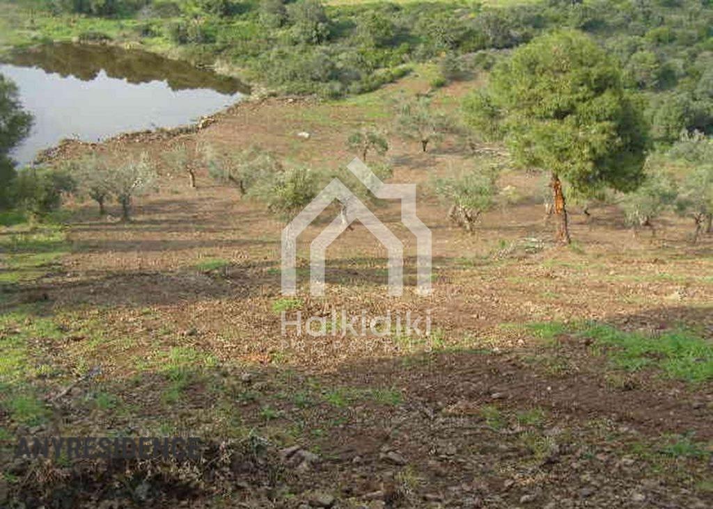 Development land Chalkidiki (Halkidiki), photo #4, listing #1848134