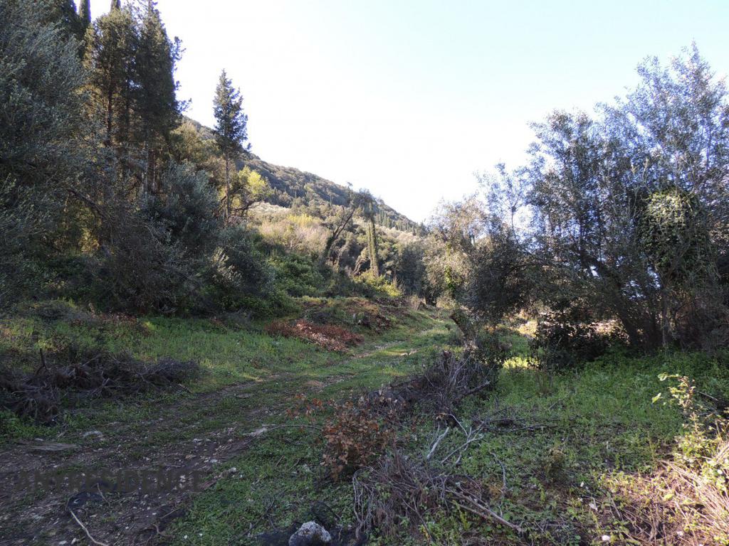 Development land Corfu, photo #7, listing #2242418