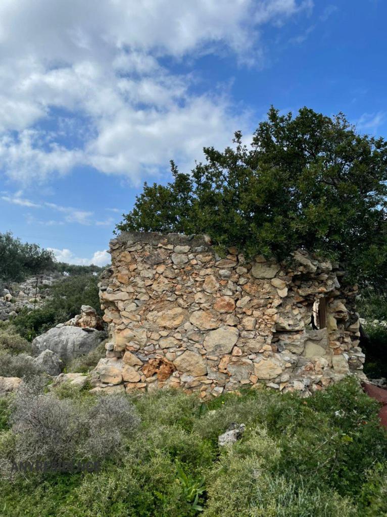 Development land Kokkino Chorio, photo #7, listing #1937899