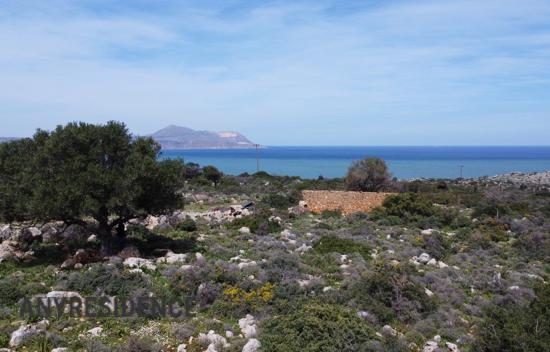 Development land Kokkino Chorio