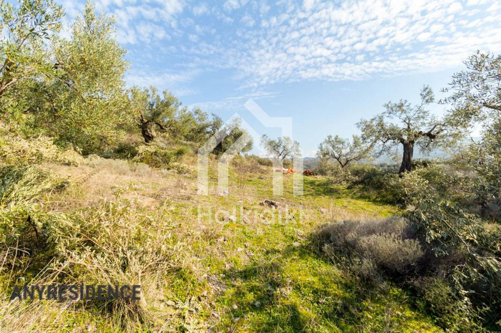 Development land Sithonia, photo #10, listing #2081936