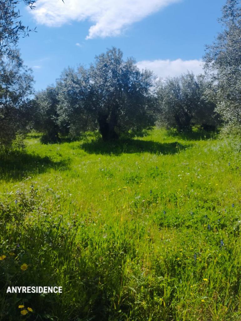 Development land Corfu, photo #3, listing #2446714
