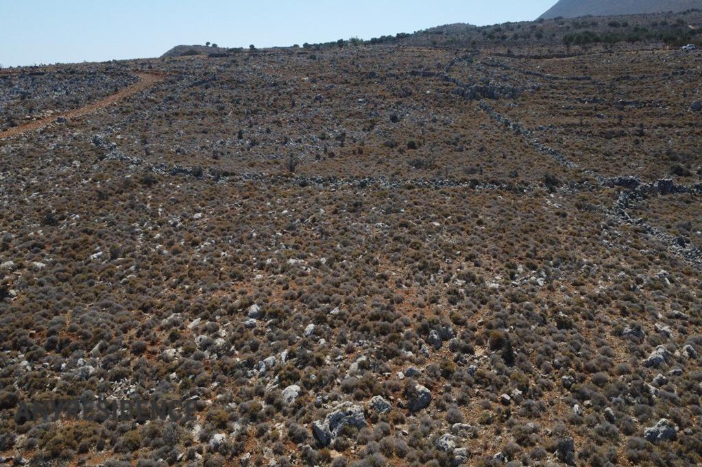 Development land Kokkino Chorio, photo #5, listing #2480268