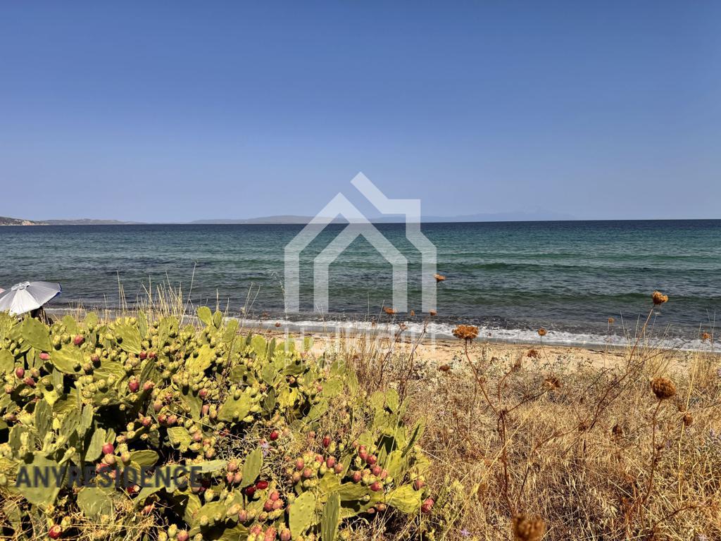 Development land Sithonia, photo #2, listing #2388723