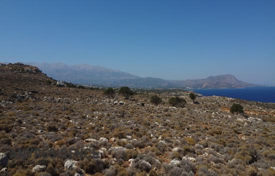 Development land Kokkino Chorio