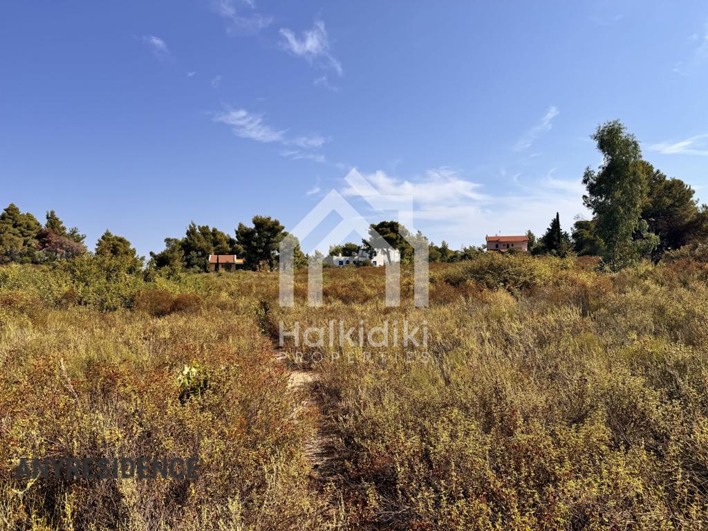 Development land Sithonia, photo #7, listing #2384902