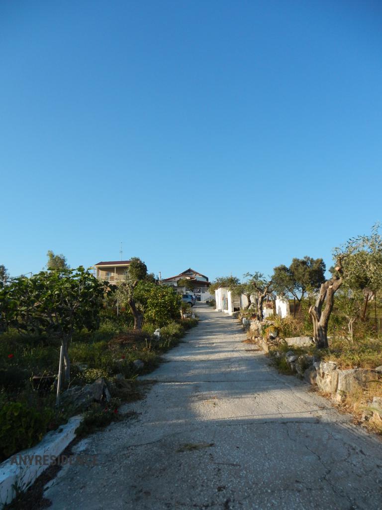 Development land Attica, photo #1, listing #2470470