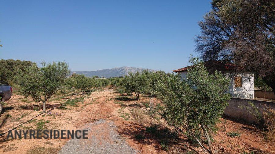 Development land Attica, photo #7, listing #2554059