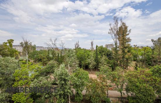 3 room apartment in Athenian Riviera