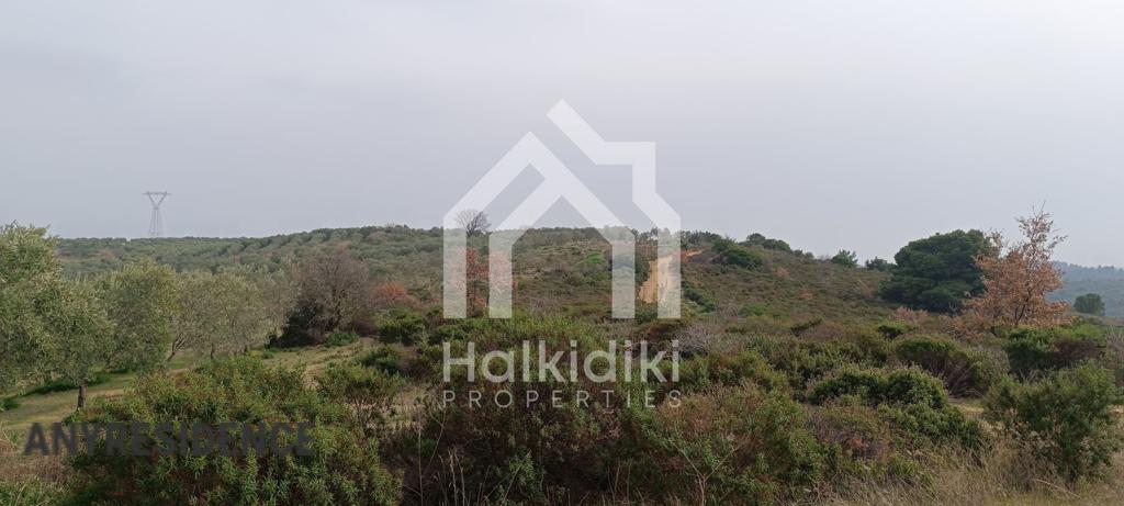 Development land Sithonia, photo #3, listing #2362430