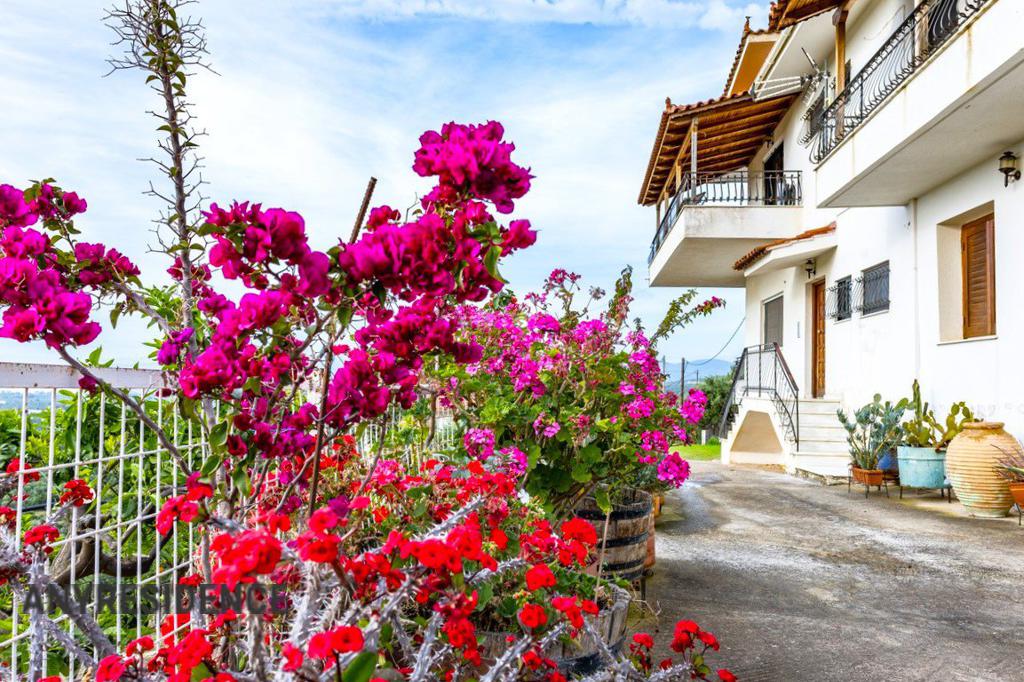 Townhome in Messenia, photo #7, listing #2532203