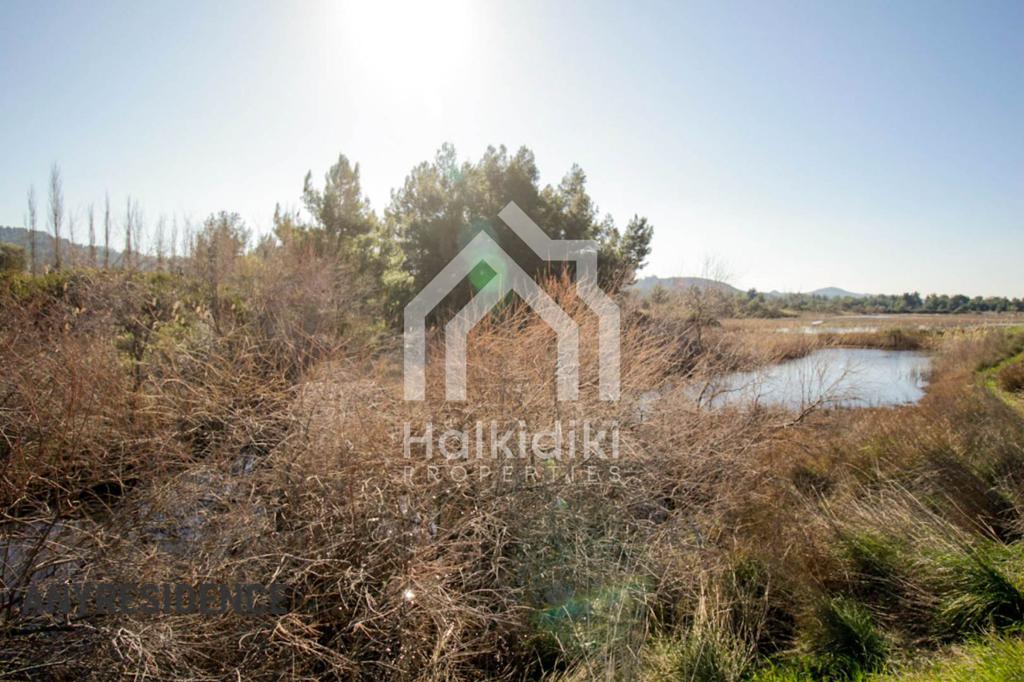 Development land Chalkidiki (Halkidiki), photo #6, listing #1848276