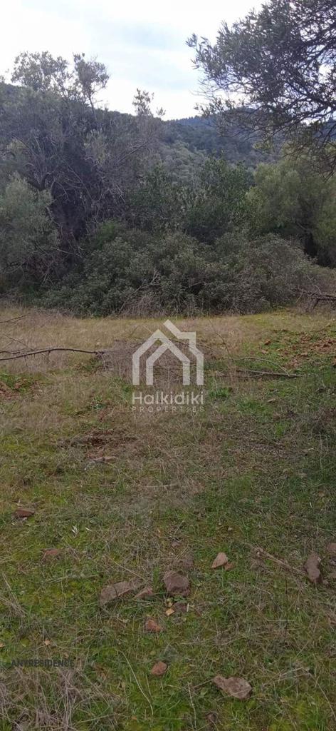 Development land Chalkidiki (Halkidiki), photo #5, listing #1848228