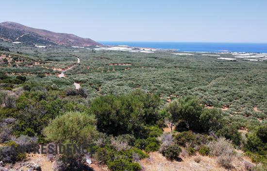 Development land Phalasarna